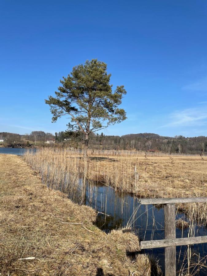 Landhotel Moorhof Franking Buitenkant foto